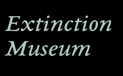 The Extinction Museum