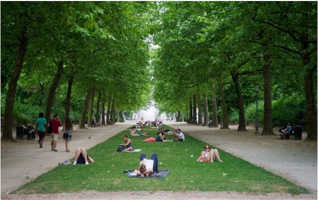 Living near trees is good for your health