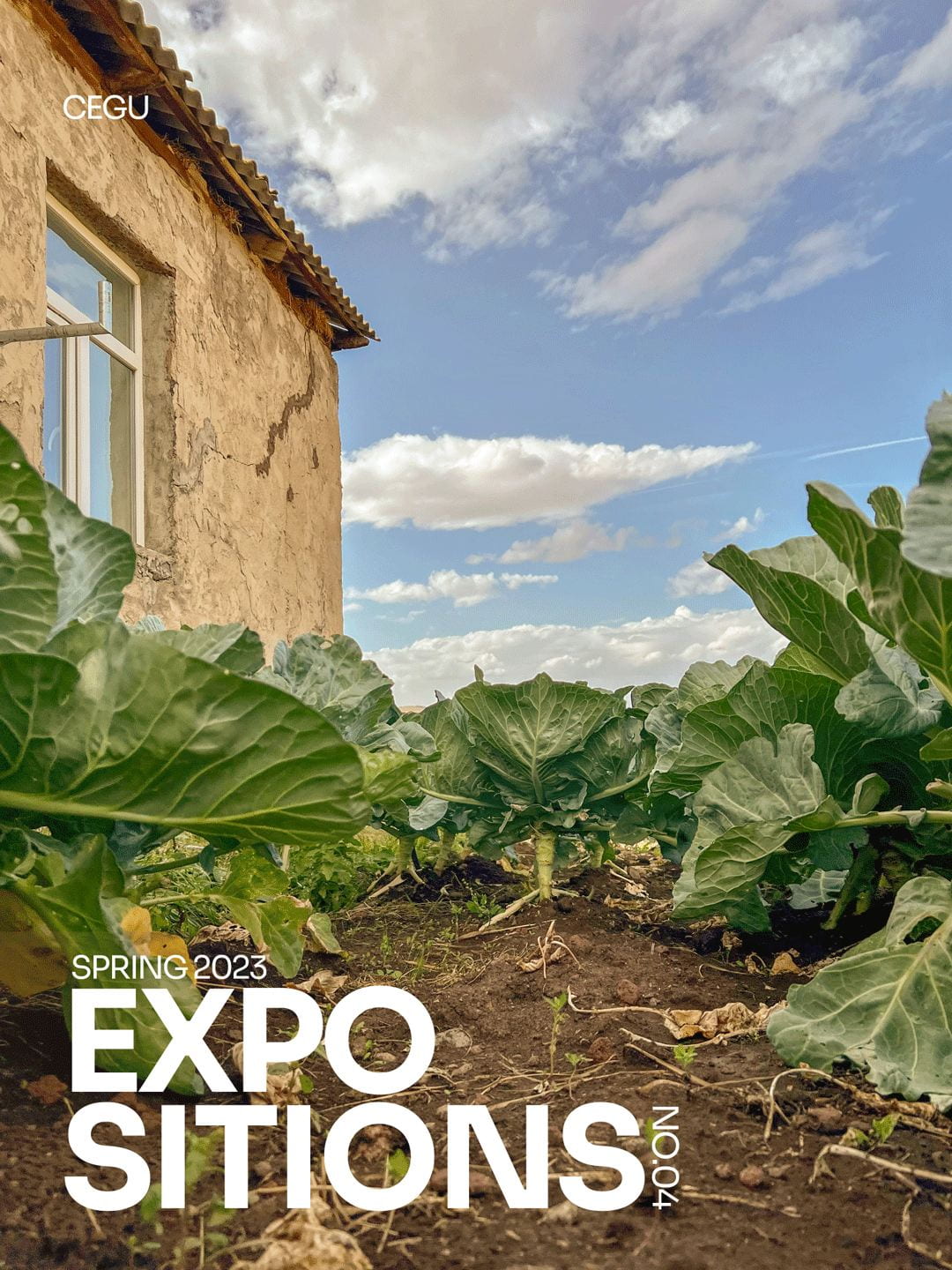 Cover of Expositions Magazine, Issue #4, showing a low-angle photo of cabbages in the foreground with a house and blue cloudy sky in the background