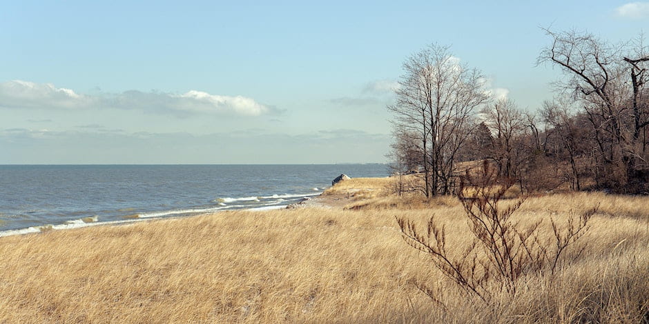 photo of the lakefront at the Indiana Dunes; tall grass in the foreground, water in the background