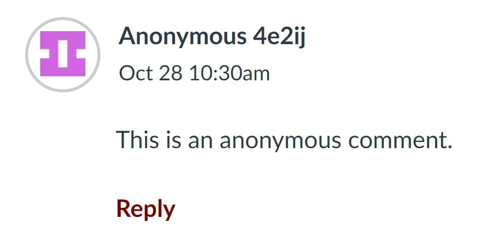 Example Anonymous Comment