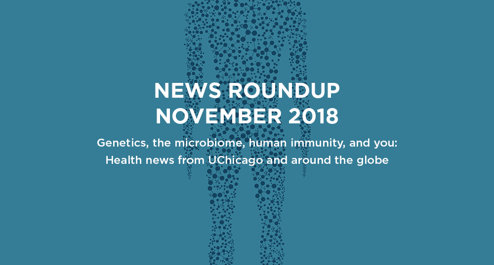 News roundup: November 2018