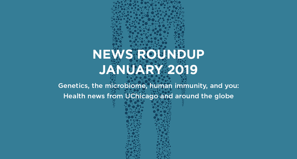 News roundup: January 2019