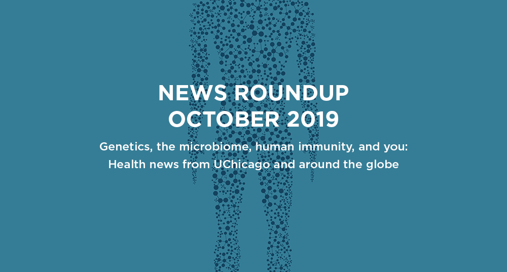 News roundup: October 2019