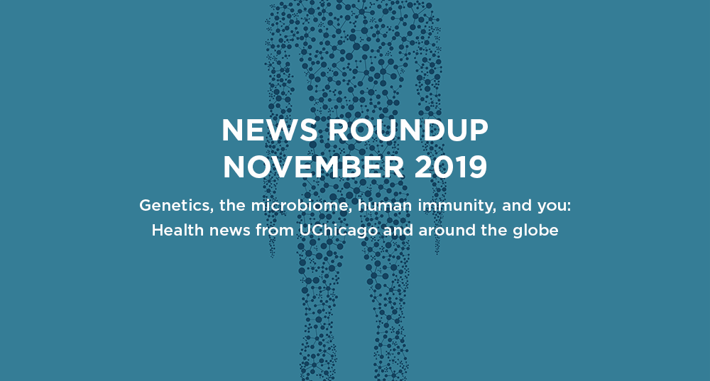 News roundup: November 2019