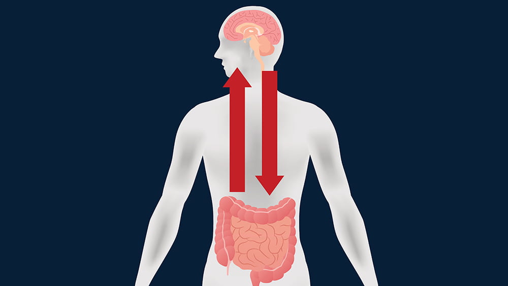 The road to the brain: Through the gut?