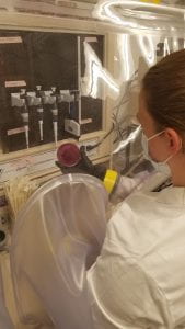 Claire culturing bacteria in the anaerobic chamber.