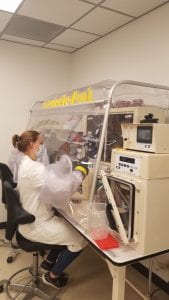 Claire culturing bacteria in the anaerobic chamber