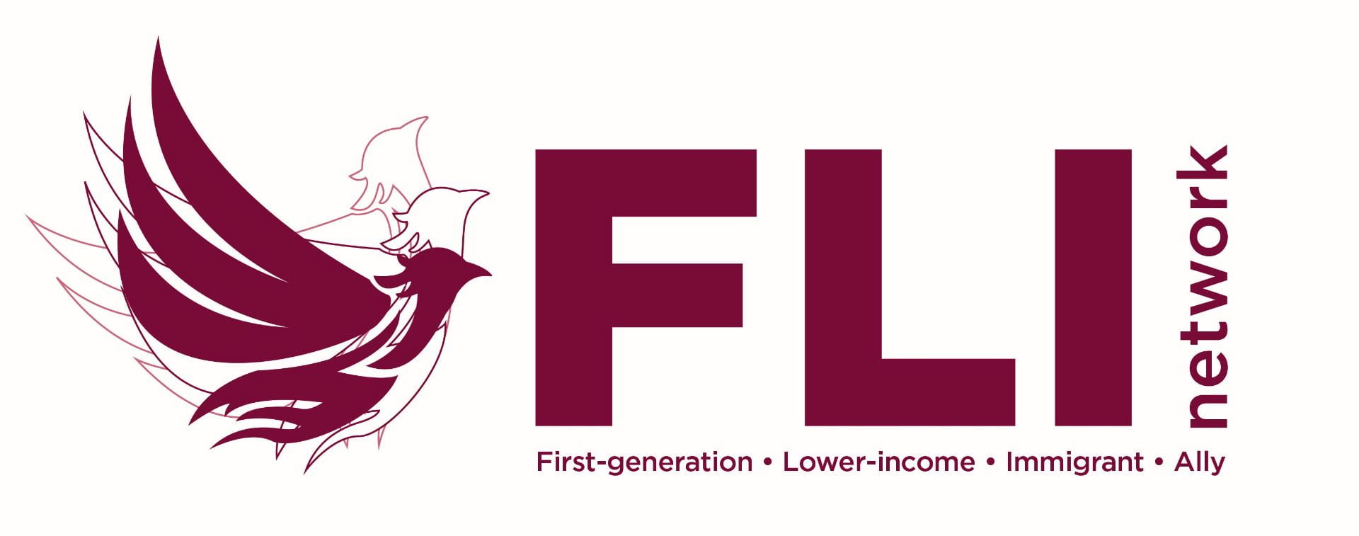 First Generation Lower Income Immigrant Network