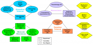 An infographic of the biological science division's organization into clusters and programs