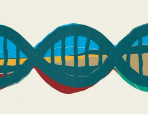 Genomes, Migrations, and Culture