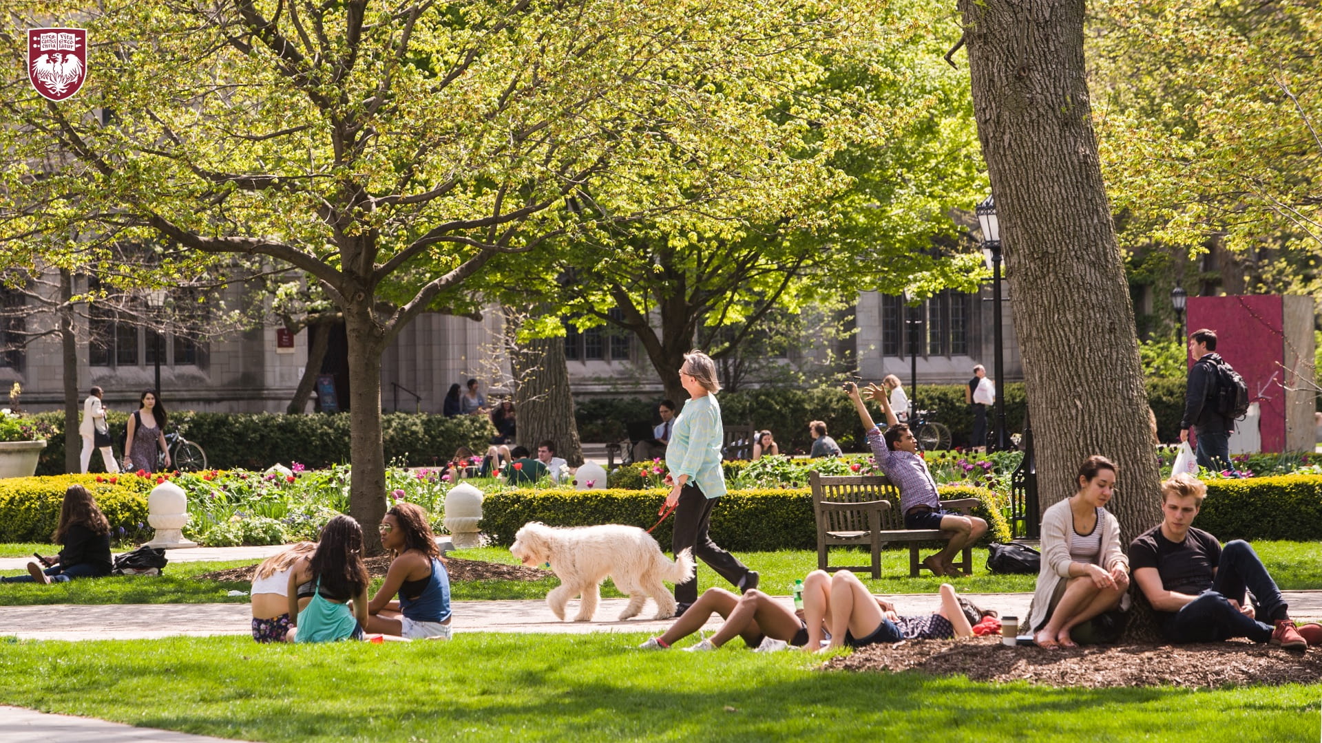 People relaxing in the grass on the quad on a warm day