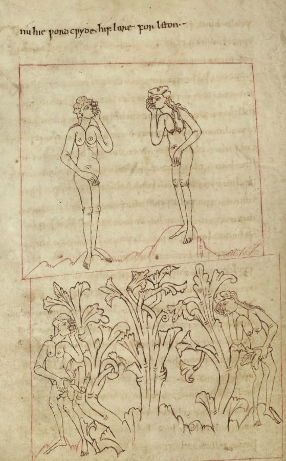 Manuscript depiction of Adam and Eve after the fall