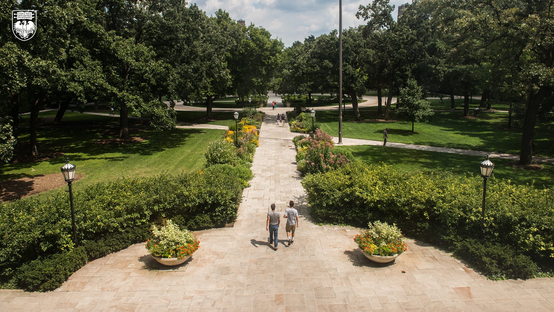 People walking down main quad pathway in daylight flanked by bushes and trees
